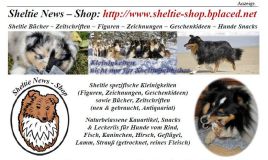 S69-Shop.jpg