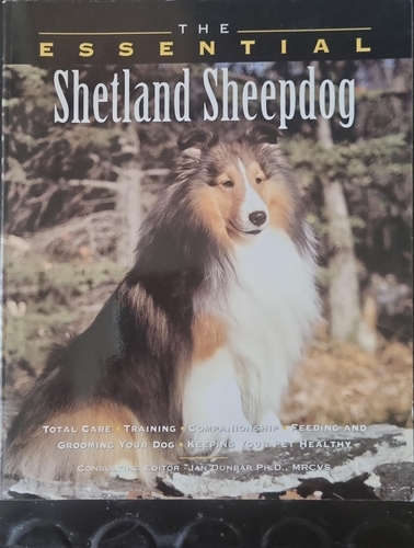 The Essential Shetland Sheepdog