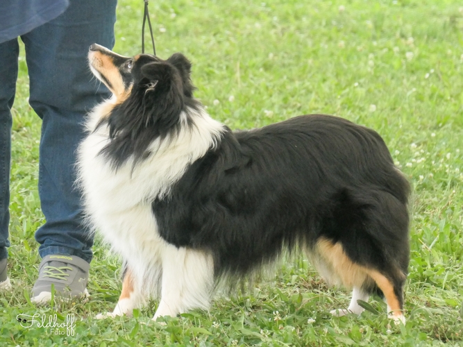 Abigail Herzogin vom Dornenfeld