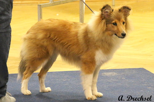 Aenne von der Knüppel-Avenue (WKH)