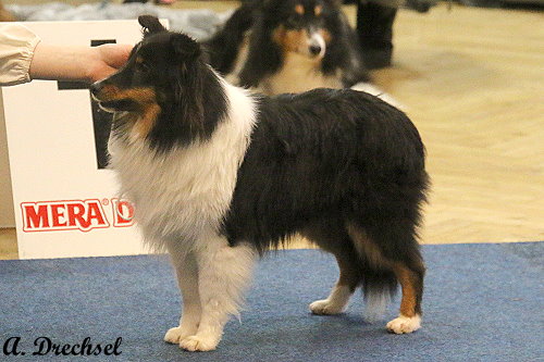 Isanto vom Ponyhügel