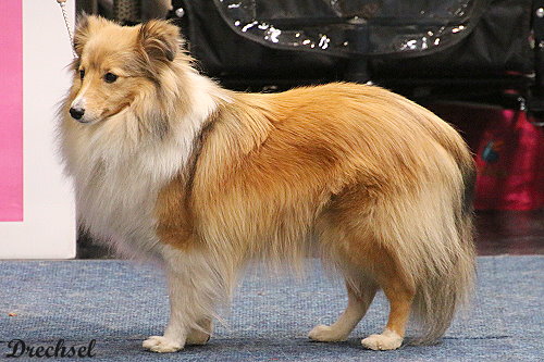 Bo Herzogin