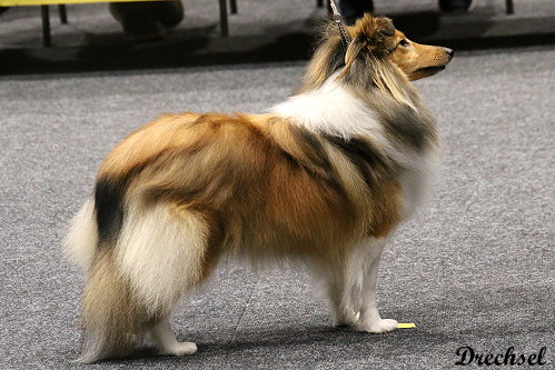 2026.03.14.Offenburg.JKH.Sirius Lake Angelina Jolie