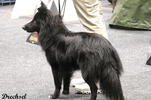 2026.03.14.Offenburg.JKR.Lmntrix all in Boggs